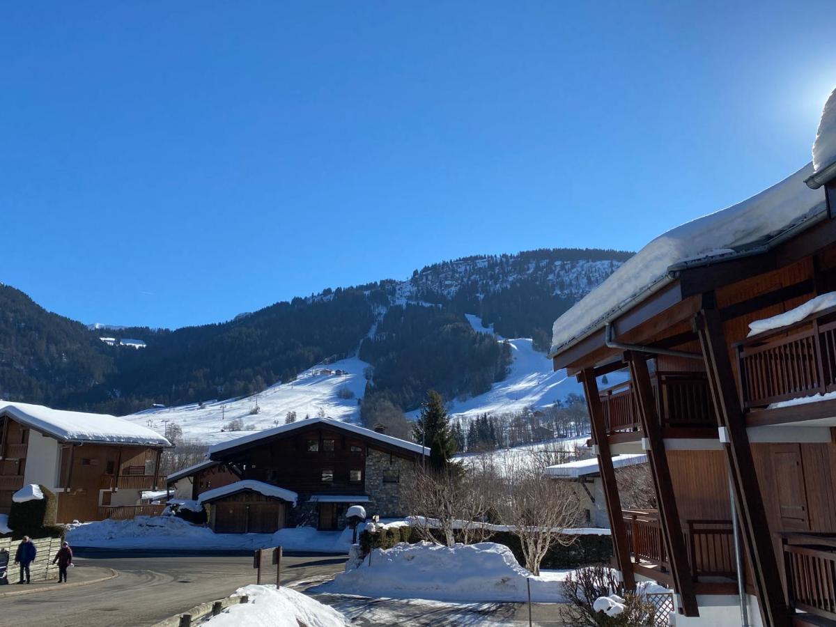 Chaleureux Appartement Renove Ambiance Chalet براس-سور-آرلي المظهر الخارجي الصورة